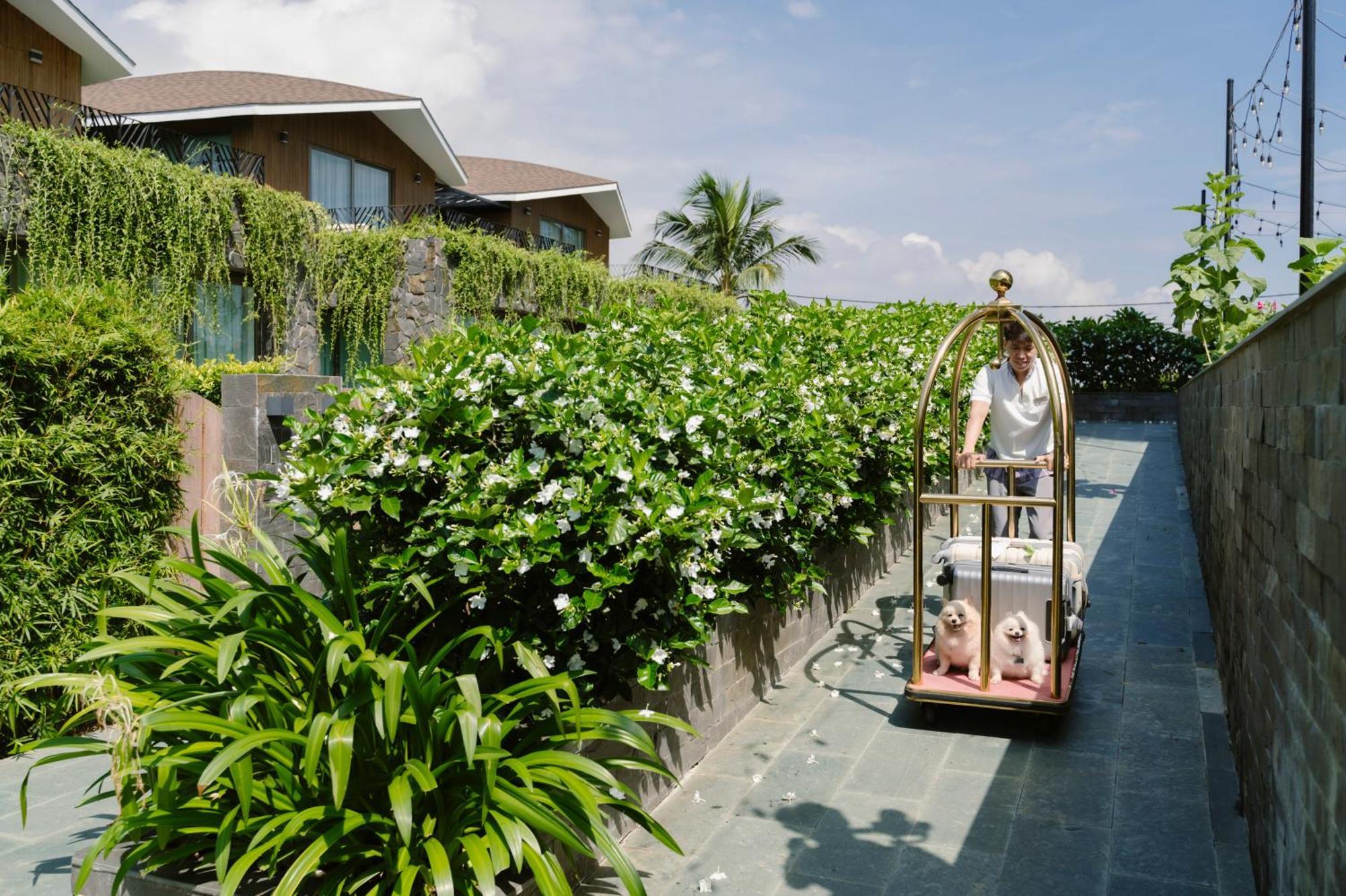 Bellerive Hoi An Resort And Spa エクステリア 写真